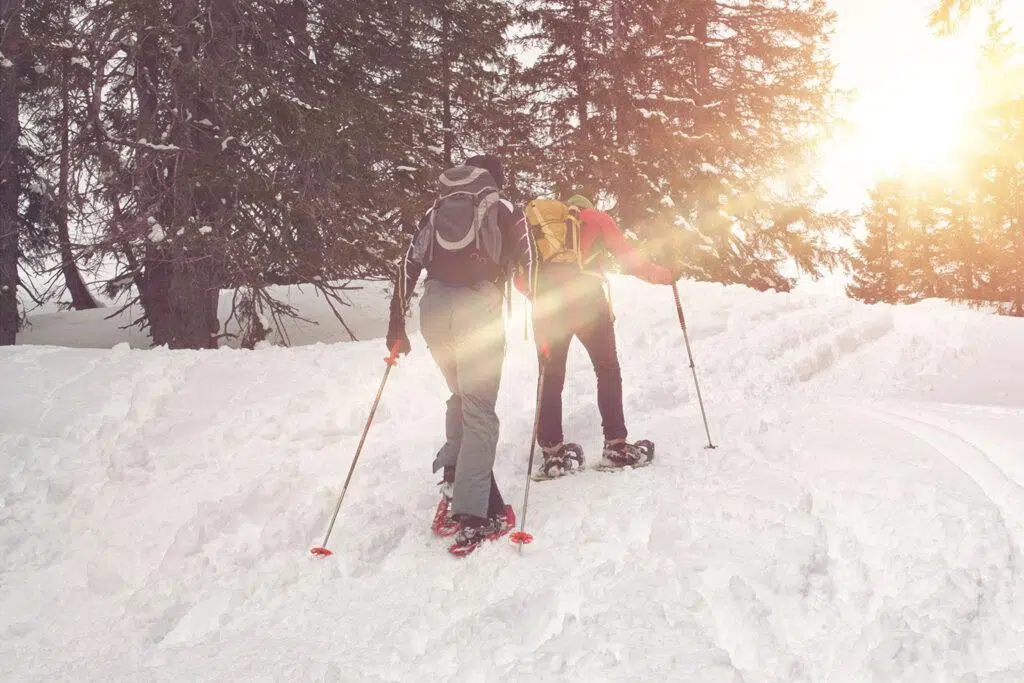 Skischule Galtuer Local Guides Schneeschuhwandern Preise